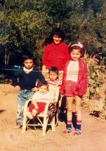 Guillermo del Carmen Gacitúa Quijada